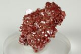 Lustrous, Ruby Red Vanadinite Crystal Cluster - Morocco #196364-1